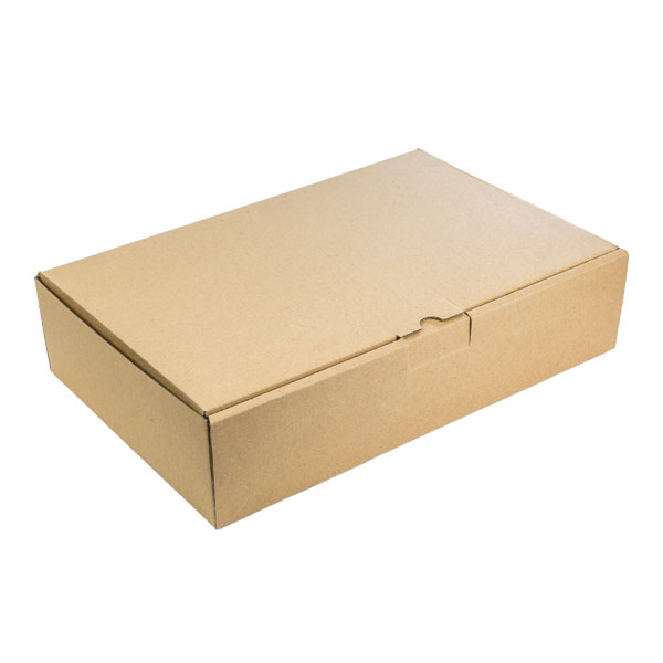 جعبه غذای  بیرون بر